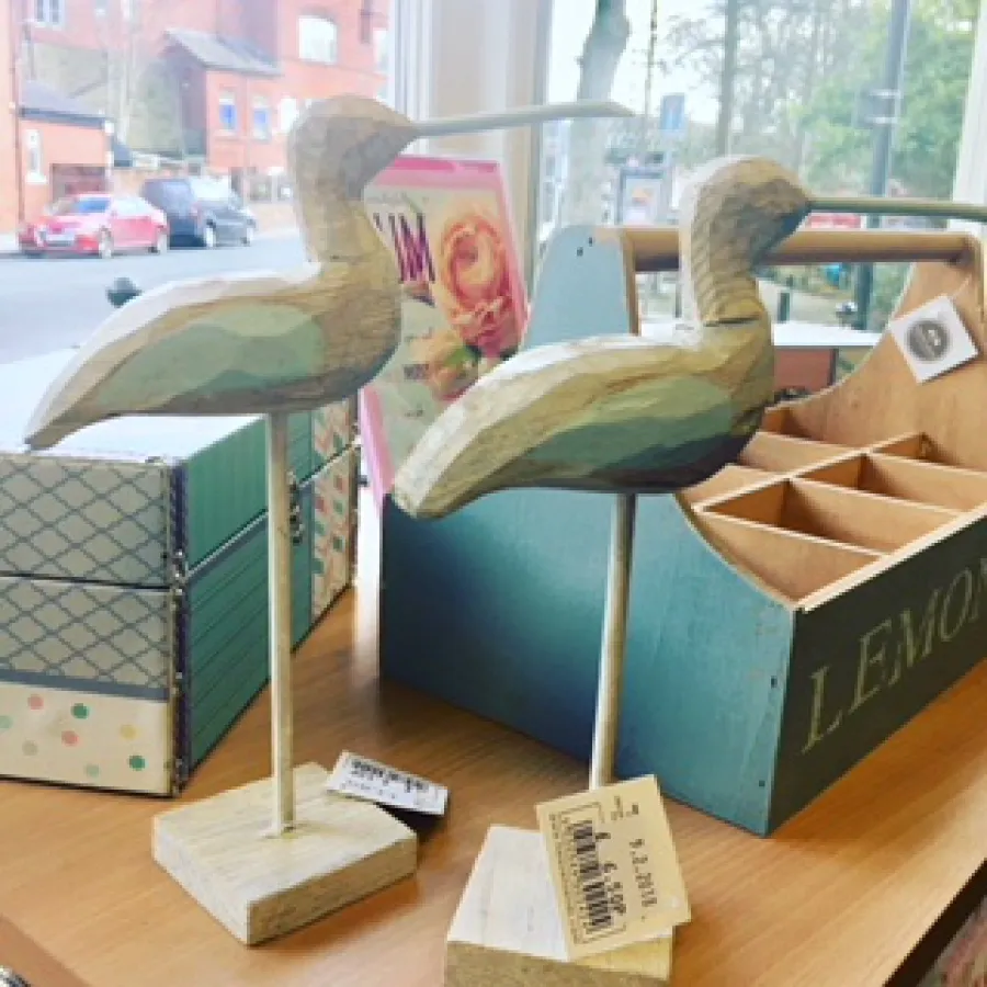 Novelty rubber ducks